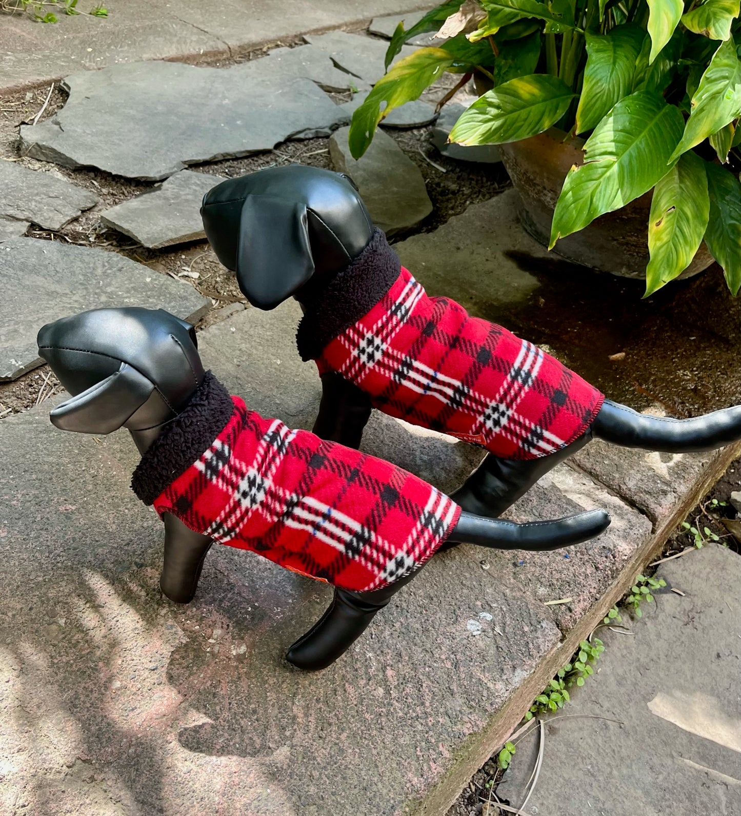 SAQUITO BANFF MARRUECOS