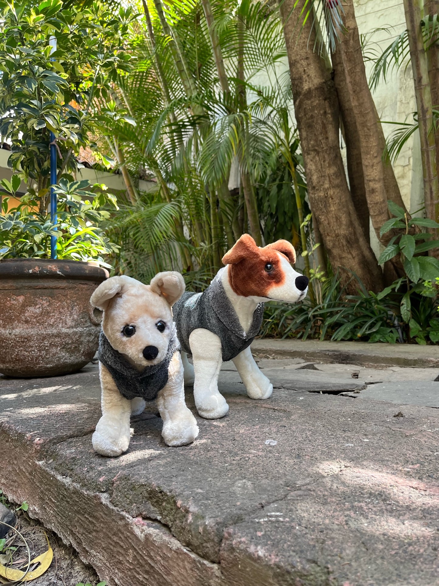 SAQUITO BANFF ARDILLA