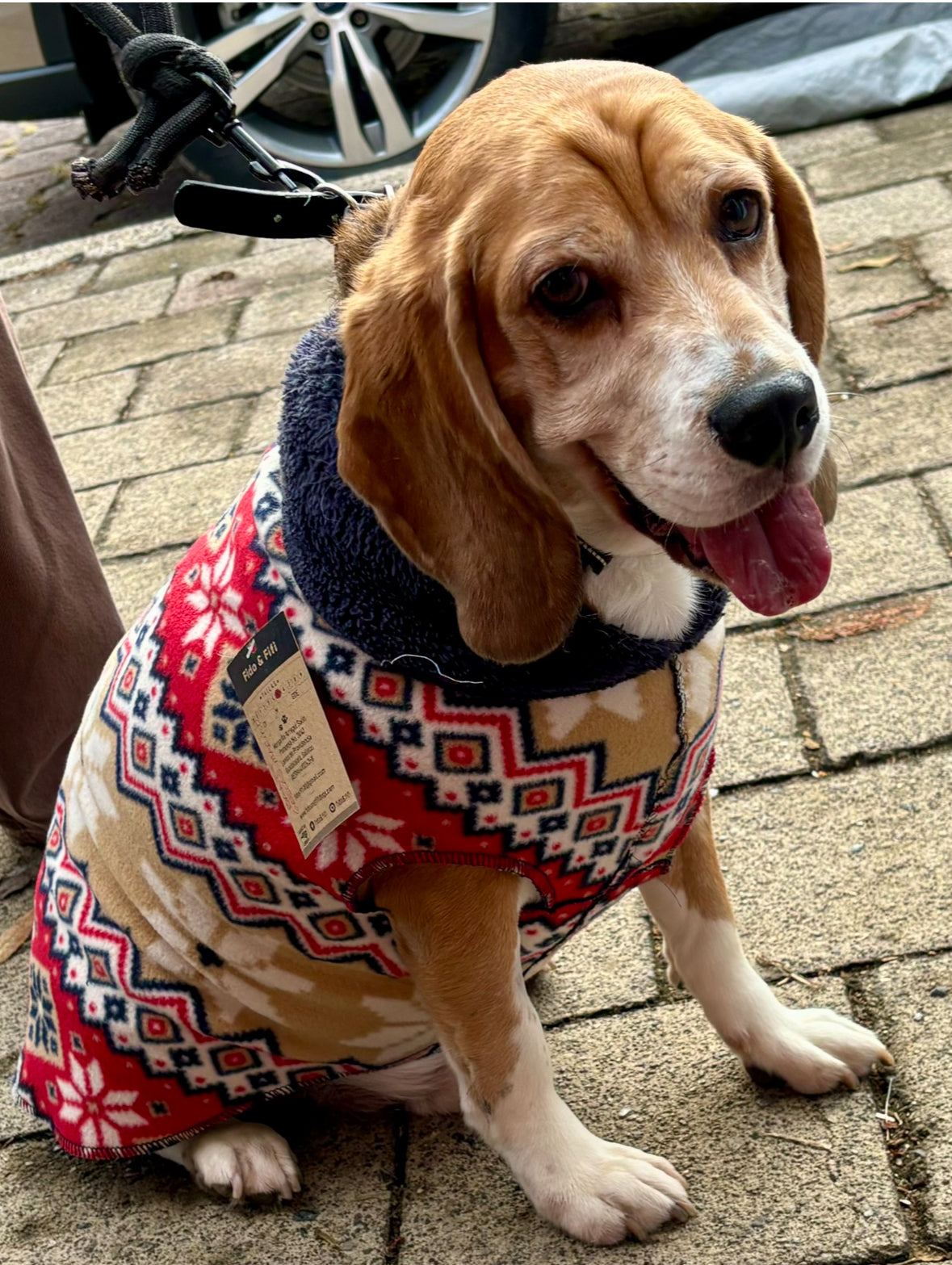 SAQUITO BANFF GRECAS MARINO mi