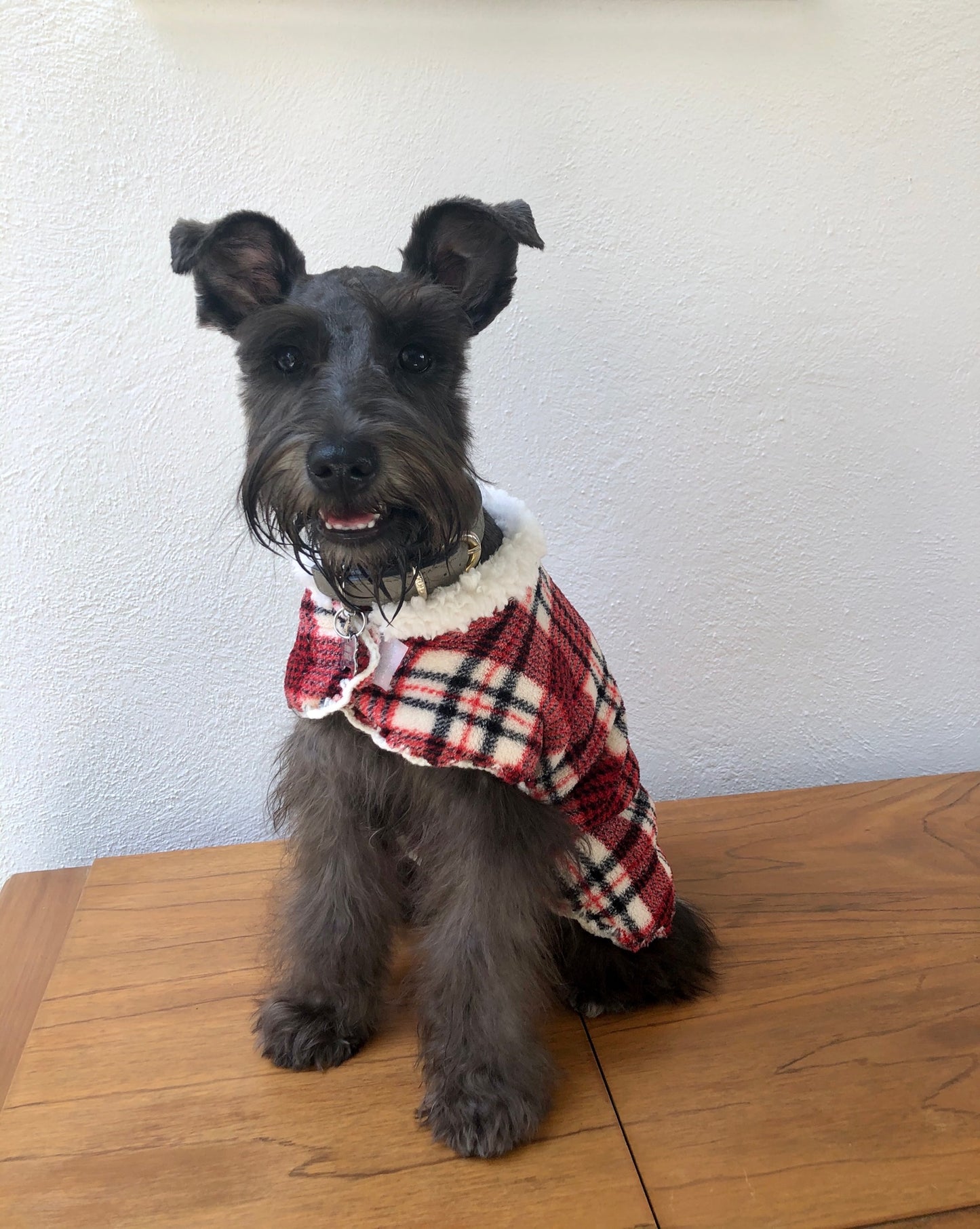 MANDIL MINKIE FRANCES