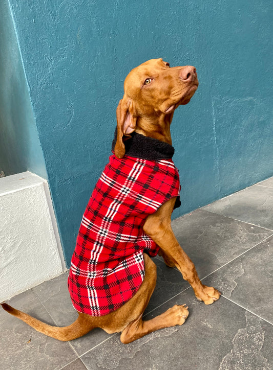 SAQUITO BANFF MARRUECOS