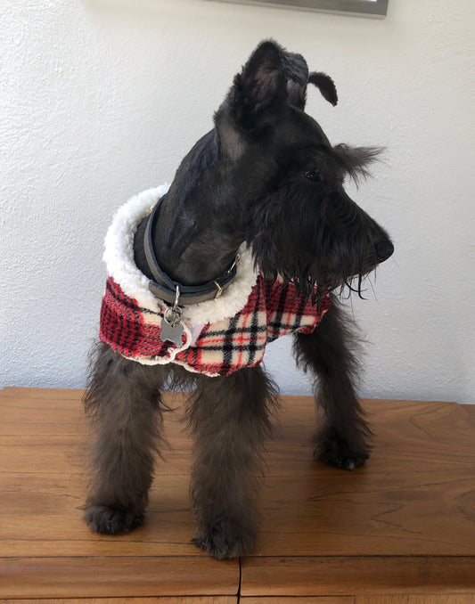 MANDIL MINKIE FRANCES