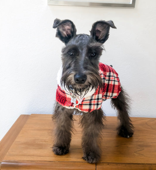 MANDIL MINKIE FRANCES