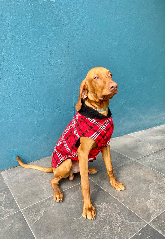 SAQUITO BANFF MARRUECOS