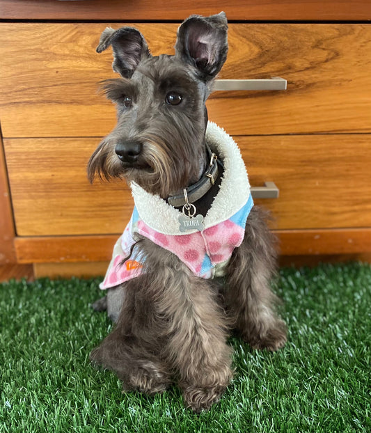 BANFF CUADROS PASTEL