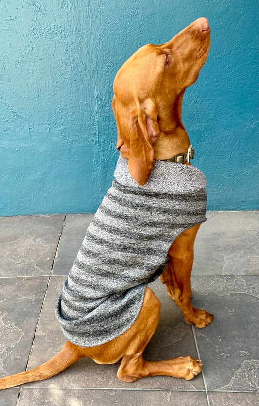 SAQUITO BANFF ARDILLA