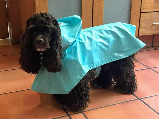 IMPERMEABLE CON GORRO