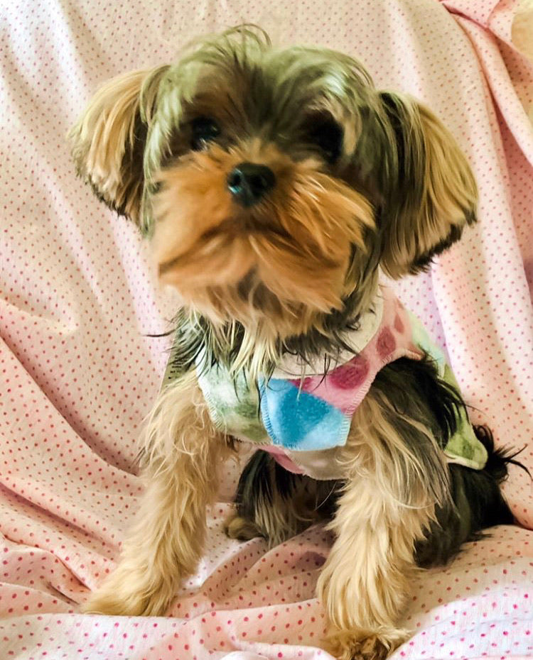 BANFF CUADROS PASTEL