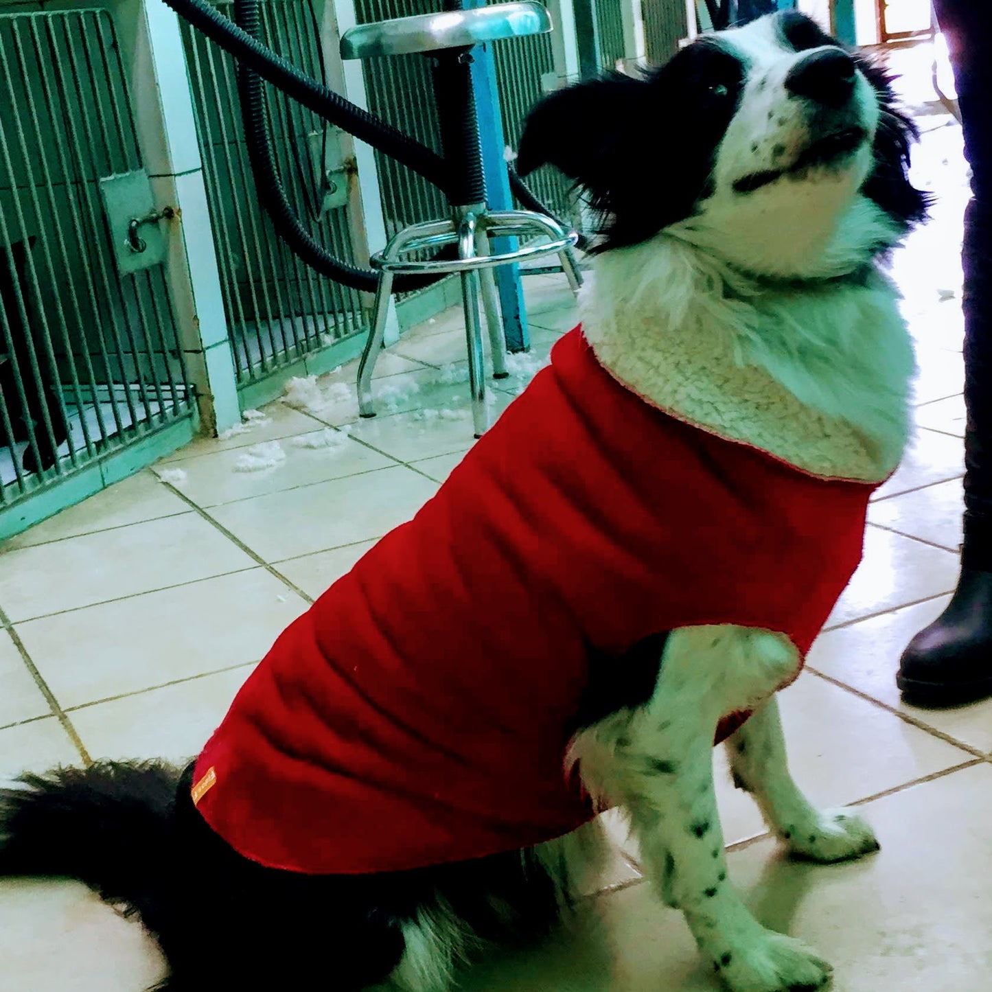 SAQUITO BANFF VELVET ROJO