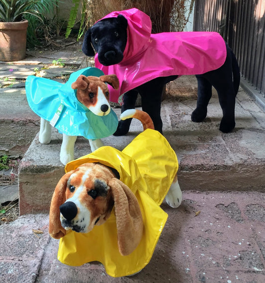 IMPERMEABLE CON GORRO