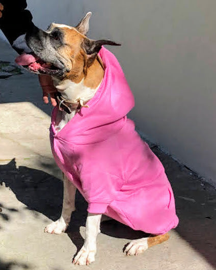 SUDADERAS CALIENTITAS