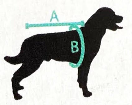 SAQUITO BANFF AMIBAS ROSA