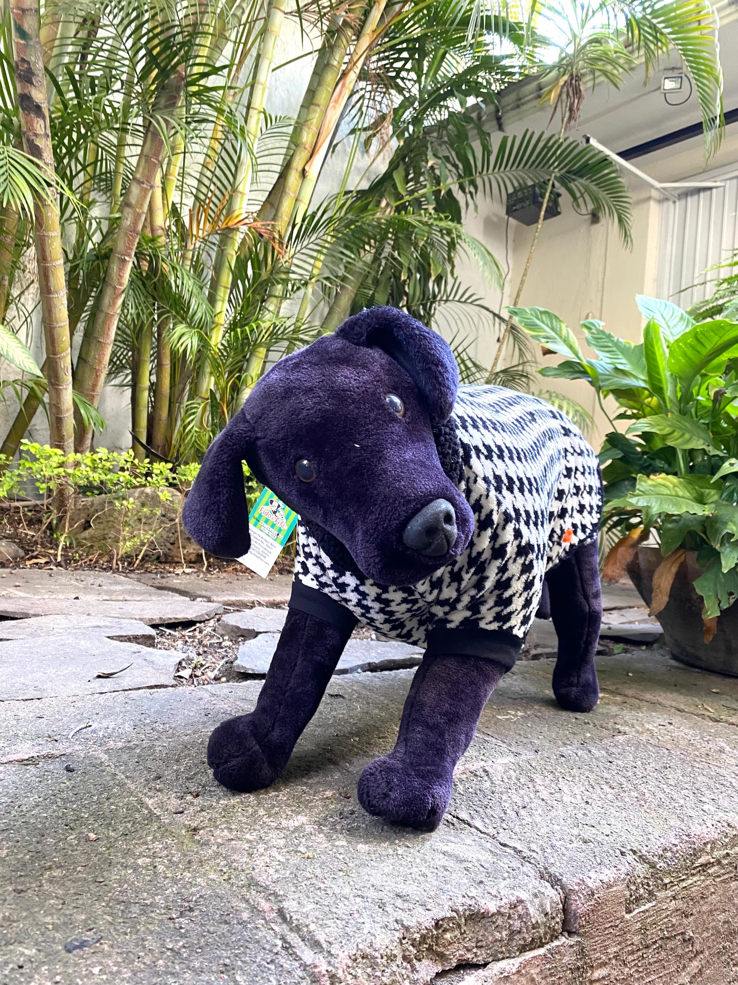 SAQUITO MINKIE OXFORD