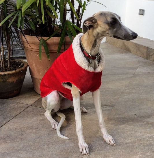 SAQUITO BANFF VELVET ROJO